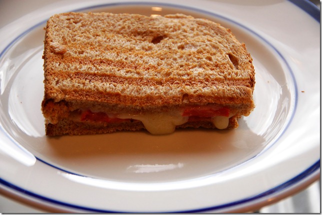 tom and cheddar panini