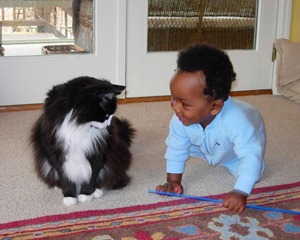 Owen Kitty Toy