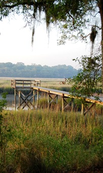 the marsh - dock