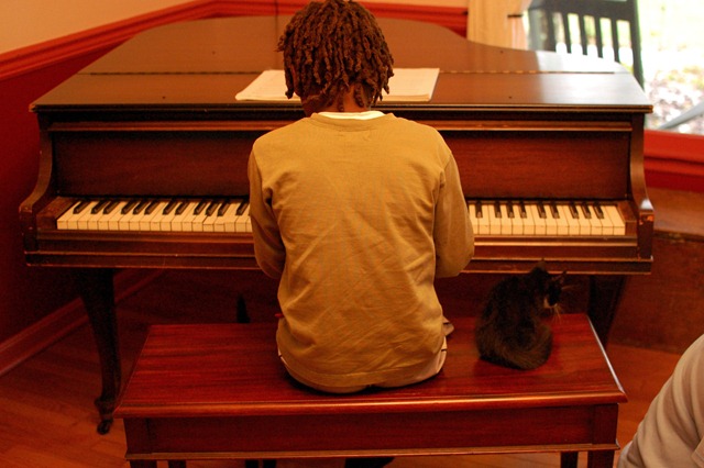 kittens - piano