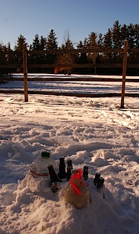 outdoor refrig 2