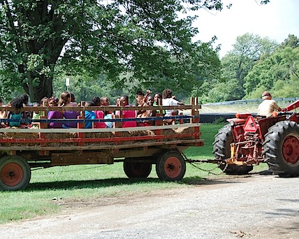 hayride 5