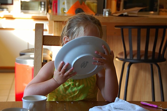 lick the plate