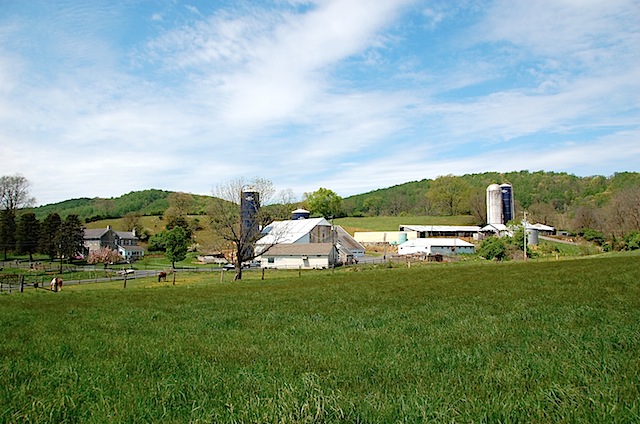 view from field