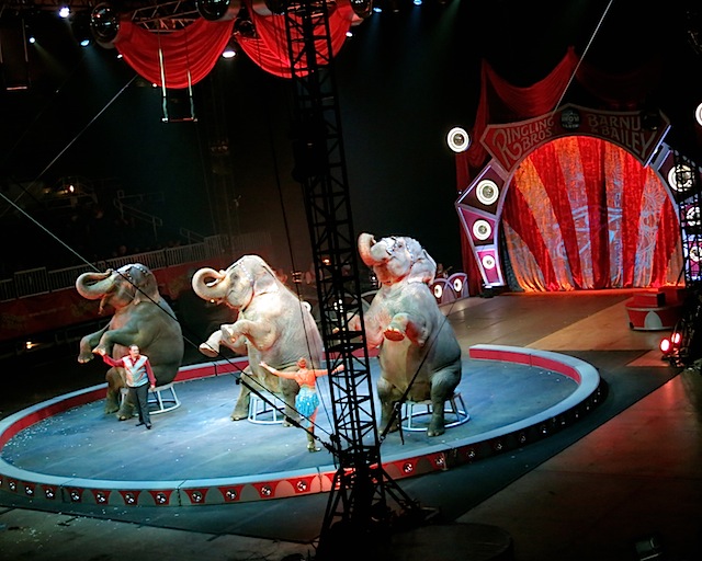 circus 9