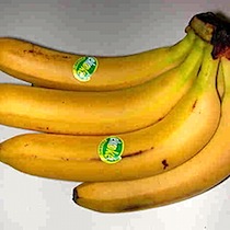 bananasFT