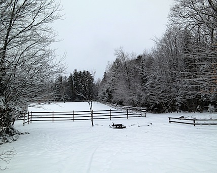 snowy field