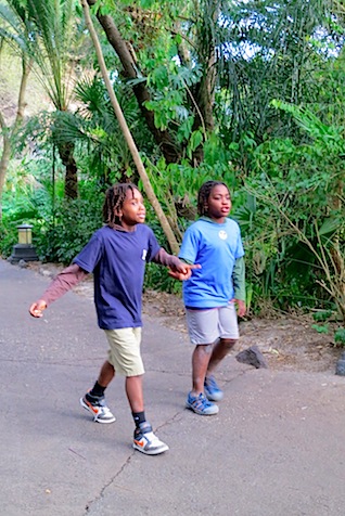 boys walking animal kingdom