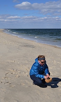 Beach e