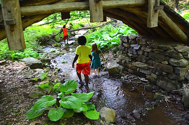 creek 1