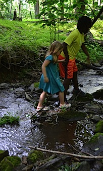 creek 2