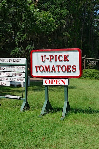 Tom Picking sign