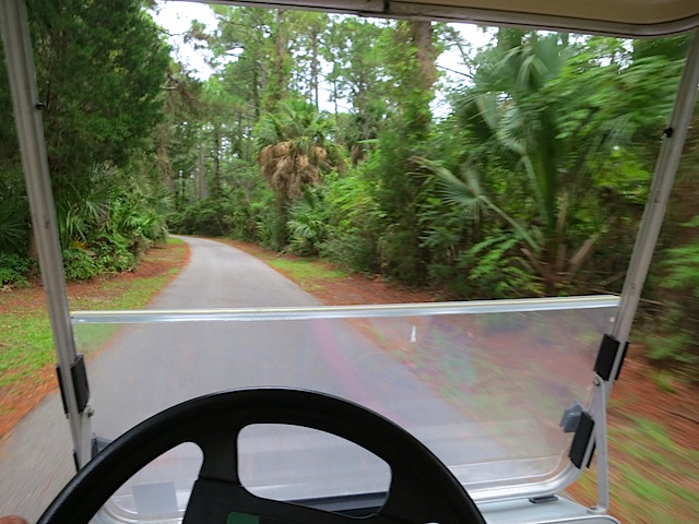 a golf cart view