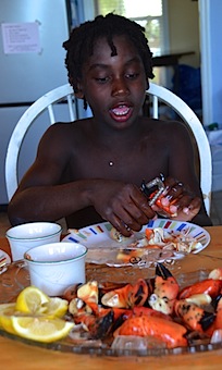 stone crabs Owen