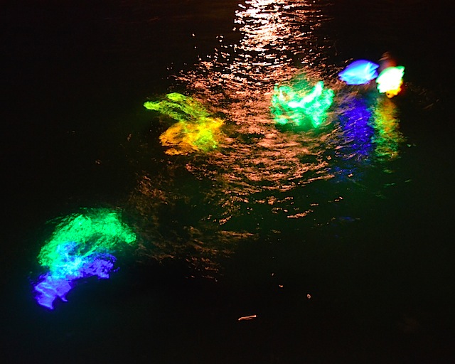 swimming with glowsticks